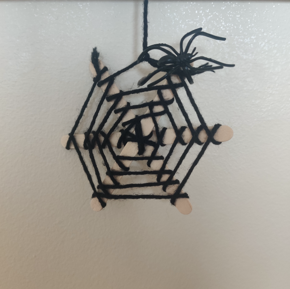Spider web craft